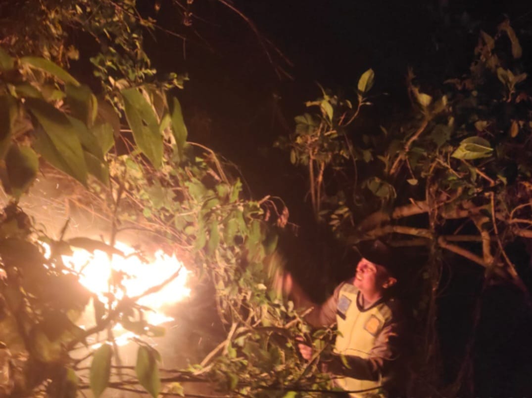 Kebakaran Hutan Pinus di Sadang Padam, Polisi Selidiki Penyebab Munculnya Api