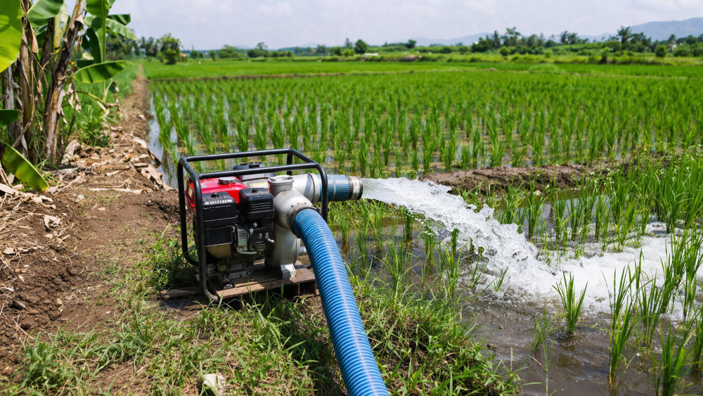 Kementan Siaga El Nino, Optimalisasi Pompa Air Jadi Andalan Jaga Produksi Pangan