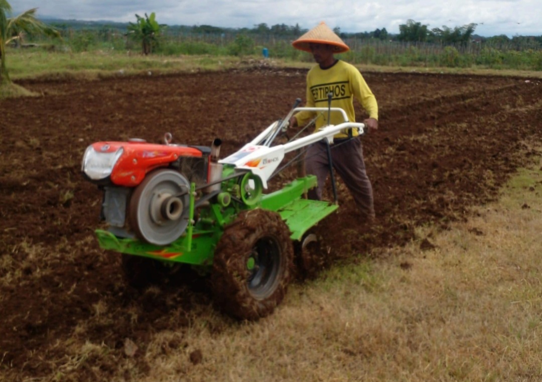 Hadapi Kemarau 2026, Mentan Amran Dorong Varietas Tahan Kekeringan untuk Jaga Produksi Pangan