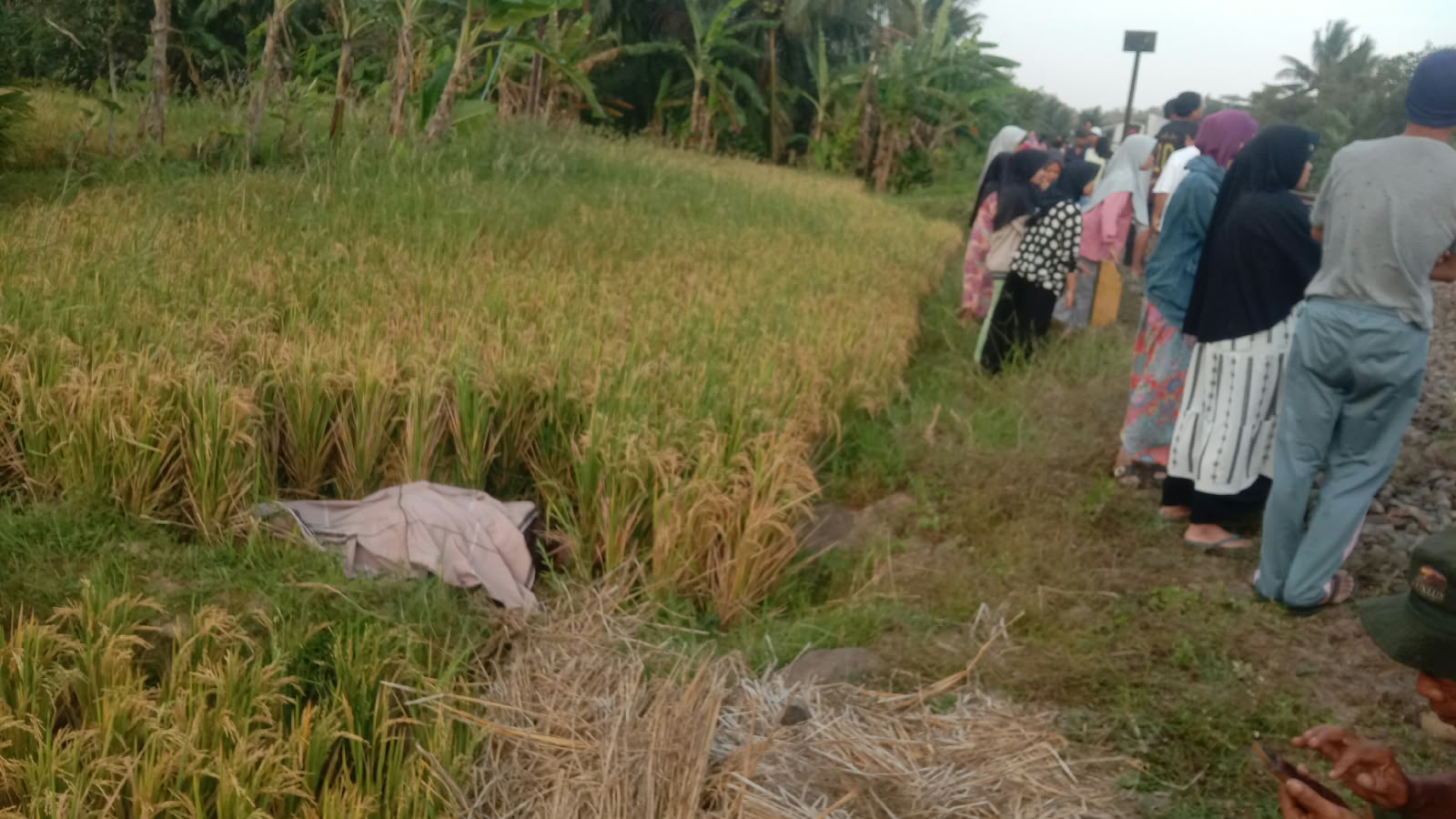 Pejalan Kaki Tertemper KA Parcel Tengah di Karangsari - Patuguran, Polisi Evakuasi Korban