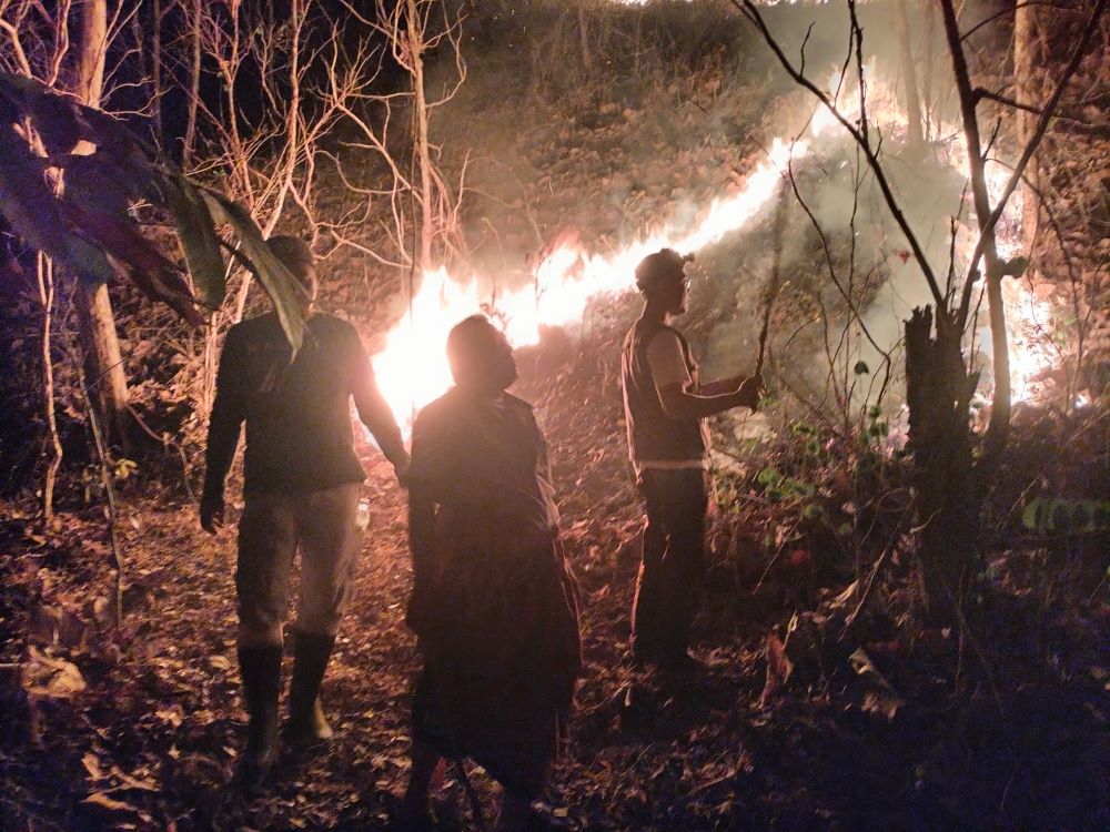 Kebakaran Lahan 4 Hektare di Kebumen, Warga dan Polisi Berjibaku Padamkan Api