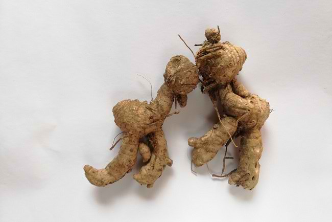 Temu Ireng, Herbal Tradisional yang Disebut Punya Potensi Atasi Kebotakan hingga Radang Usus