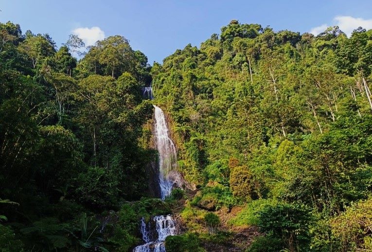 Curug Pletuk Banjarnegara, Surga Tersembunyi di Lereng Gunung Slamet dengan Air Terjun Setinggi 150 Meter