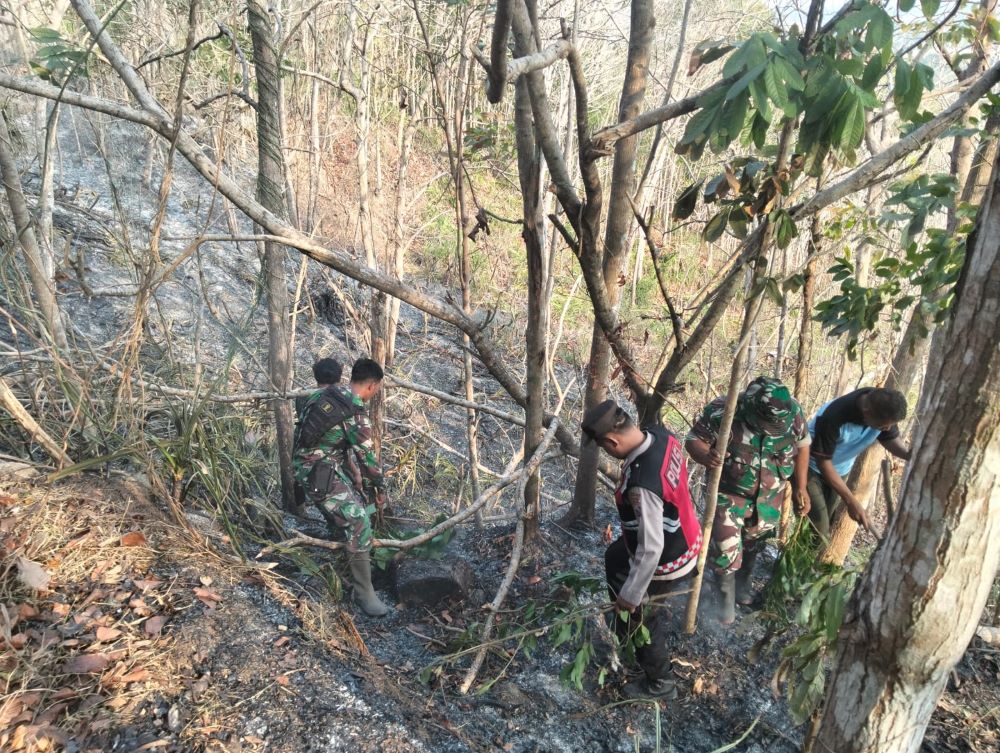 Dua Kebakaran Lahan Terjadi di Kebumen dalam Sehari, 3 Hektare Perbukitan Gemeksekti Hangus