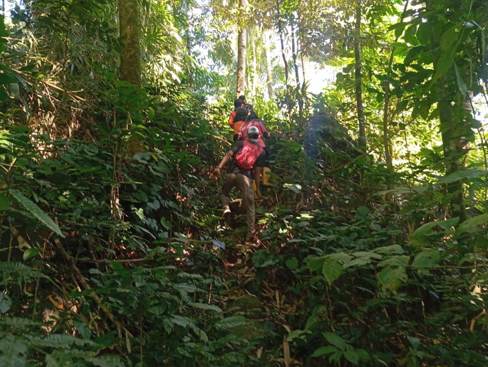 Kakek 78 Tahun Diduga Hilang di Hutan Wanatirta Brebes, Tim SAR Lanjutkan Pencarian