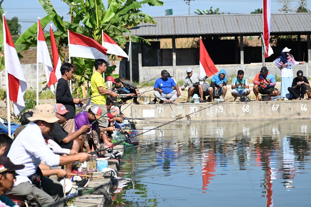Gratis, 1.360 Pemancing Serbu Lomba Mancing Purbalingga, 8 Kwintal Ikan Ditebar