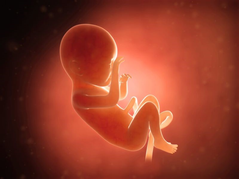 Apa Itu Bayi Bajang? Sosok dalam Mitos Jawa yang Dikaitkan dengan Dunia Gaib