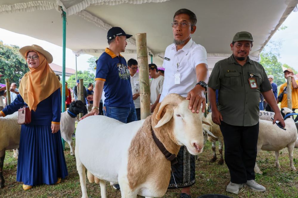Jelang Iduladha 2026, Pemprov Jateng Perketat Pengawasan Hewan Kurban dan Tingkatkan Layanan Kesehatan Ternak