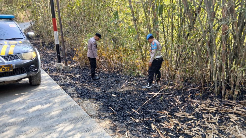 Lahan Bambu di Karanggayam Kebumen Terbakar, Api Membesar Diterpa Angin
