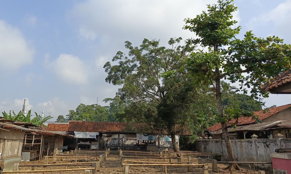 Revitalisasi Pasar Hewan Cilongok Jadi Prioritas, DPRD dan DKUKMP Siapkan Perbaikan Bertahap