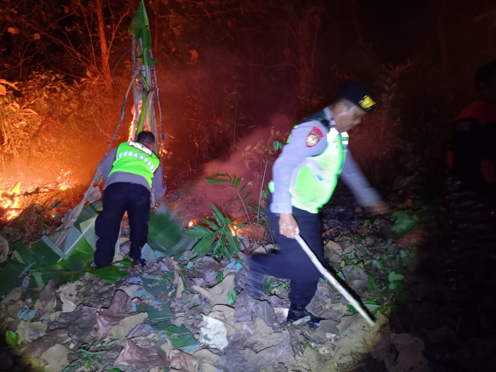 Kebakaran Hutan Jati di Ayah Meluas, 1,4 Hektare Hangus