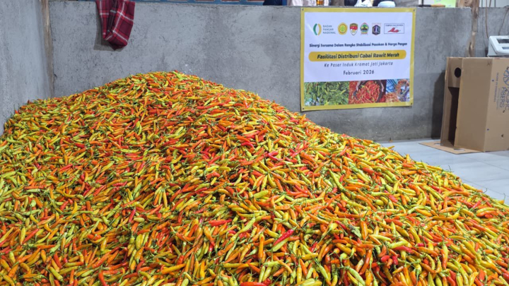 Harga Cabai Rawit Tembus Rp81 Ribu per Kg
