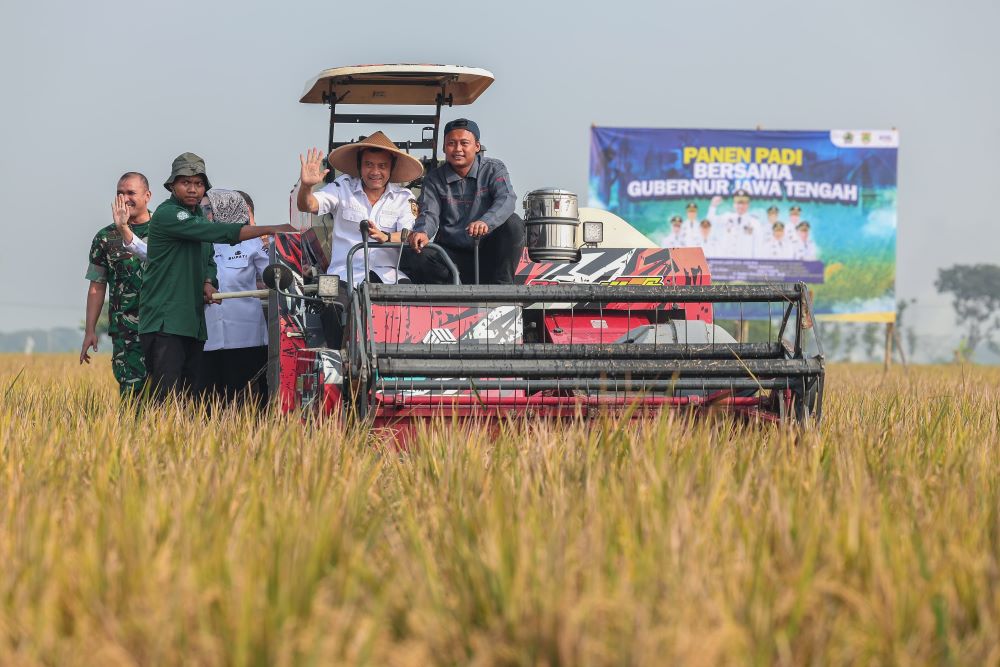 Produksi Padi Jateng Capai 6,69 Juta Ton, Ahmad Luthfi Instruksikan Daerah Waspadai Kemarau Panjang