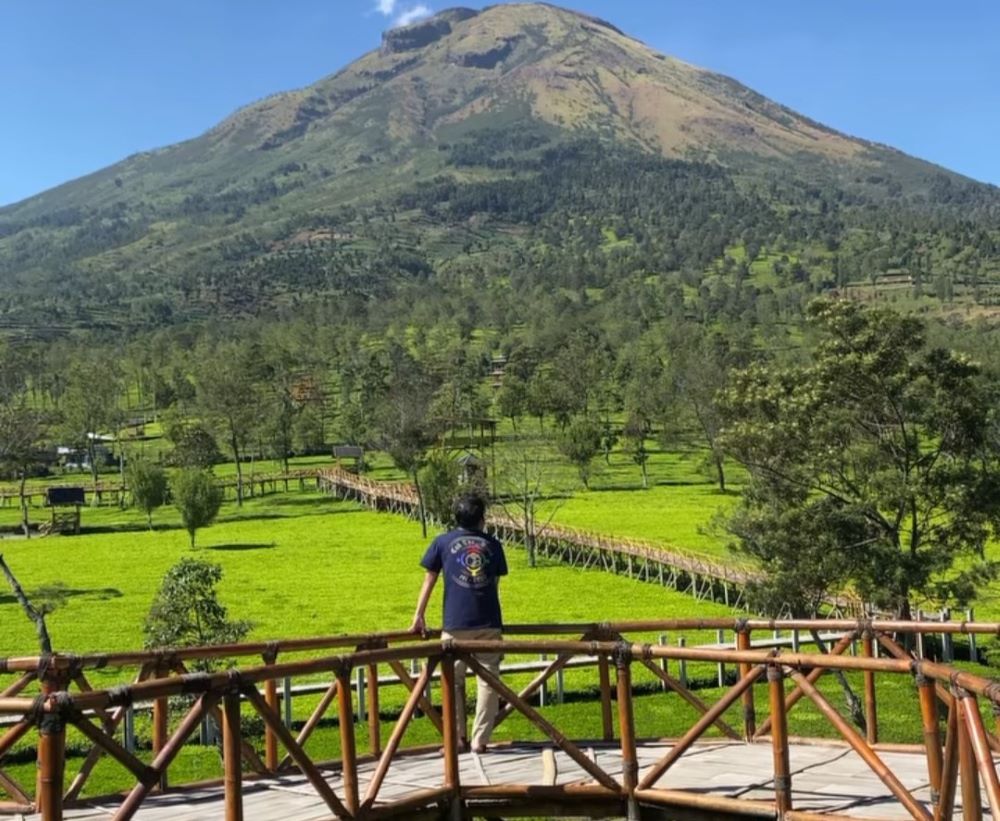 Pesona Kebun Teh Sikatok, Lukisan Alam di Kaki Gunung Sindoro