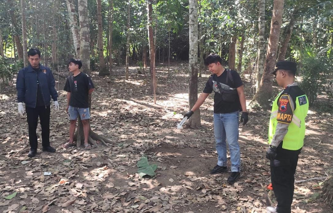 Pria di Puring Meninggal Dunia Diduga Terjatuh dari Pohon Kelapa Saat Menderes