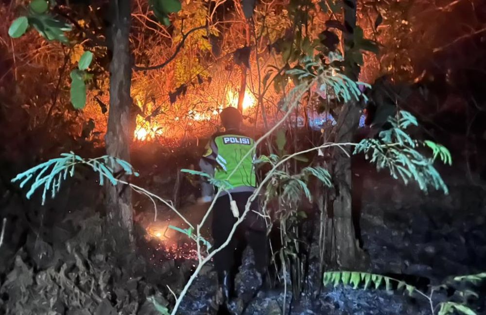 Hutan Perhutani 5 Hektare di Sikayu Kebumen Terbakar, Warga dan Aparat Berjibaku Padamkan Api
