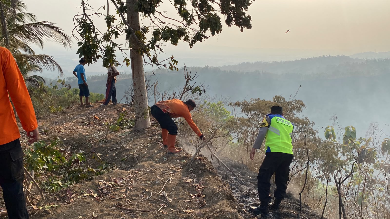 Api Bakar 1,5 Hektare Perbukitan di Sruweng, Puluhan Pohon Jenitri Hangus