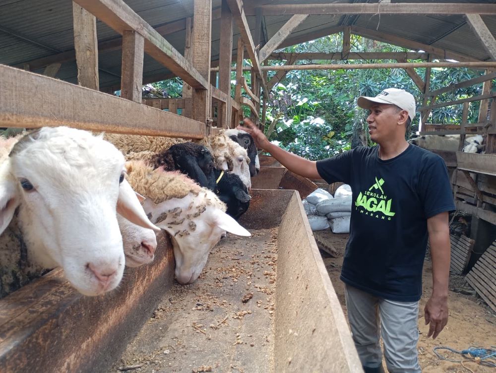 Jawa Tengah Perkuat Ekosistem Halal, Lebih dari 700 Juru Sembelih Ikuti Pelatihan dan Sertifikasi hingga 2026