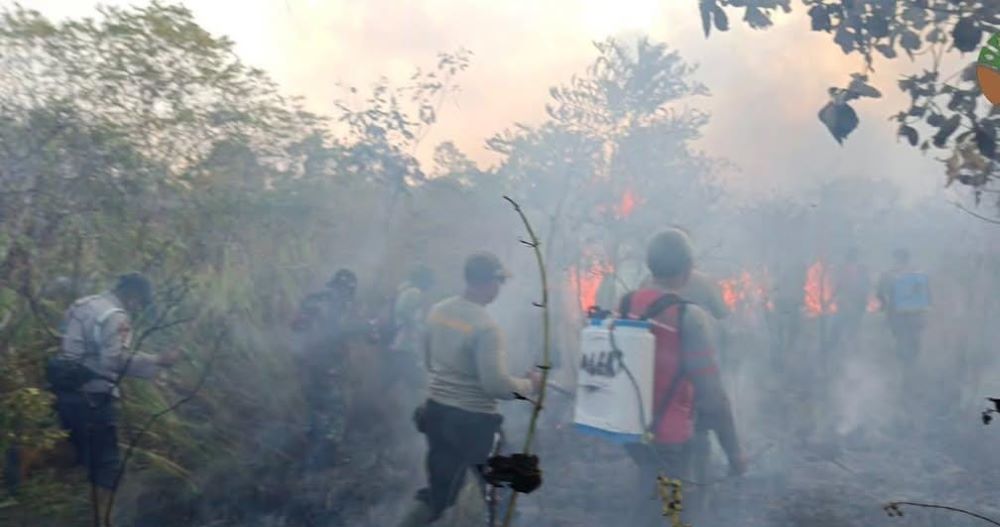 Karhutla Mengganas di Dua Daerah, BNPB Catat Ratusan Hektare Lahan Terbakar