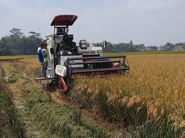 Dinpertan Banyumas Buktikan Efektivitas Pertanian Industrial, Program G 10 T Percepat Masa Tanam