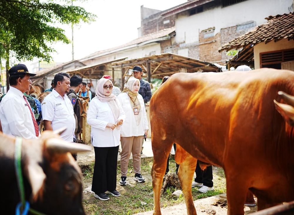 Jelang Iduladha 1447 H, Pemkab Banyumas Pastikan Harga Bapokting Stabil dan Pasokan Hewan Kurban Aman