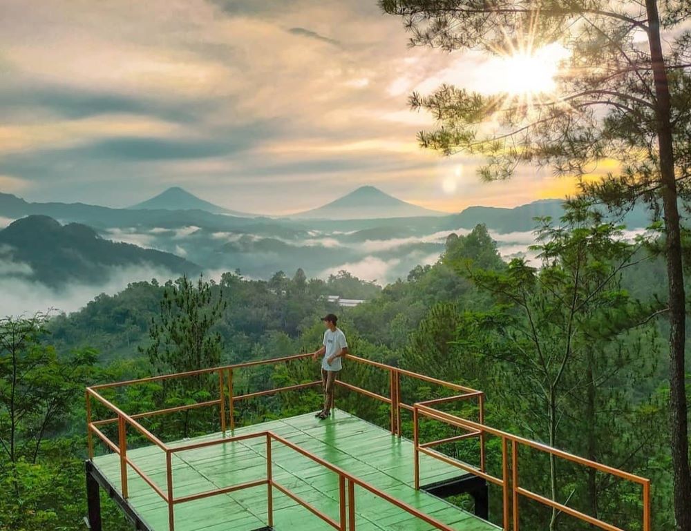 Menyusuri Pesona Bukit Pentulu Indah, Negeri di Atas Awan dari Kebumen